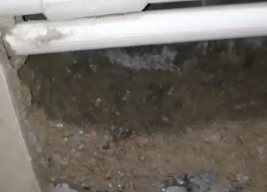 沧县卫生间测漏水多少钱